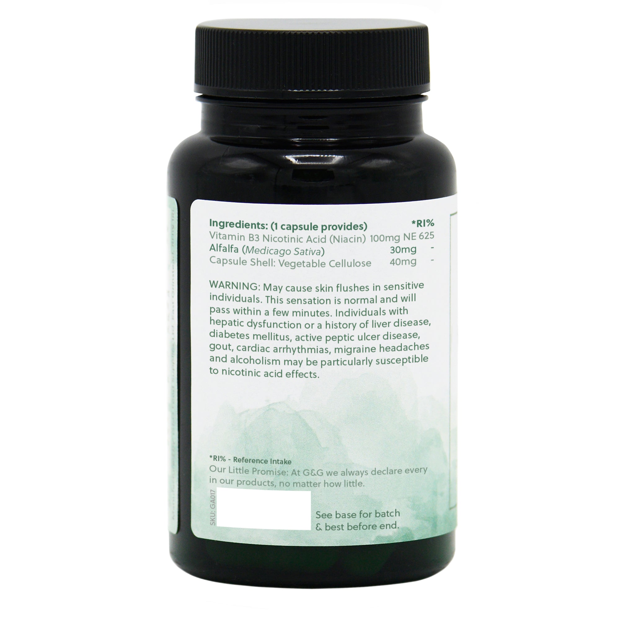 Ingredients label for Vitamin B3 Niacin 100mg 120 Capsules