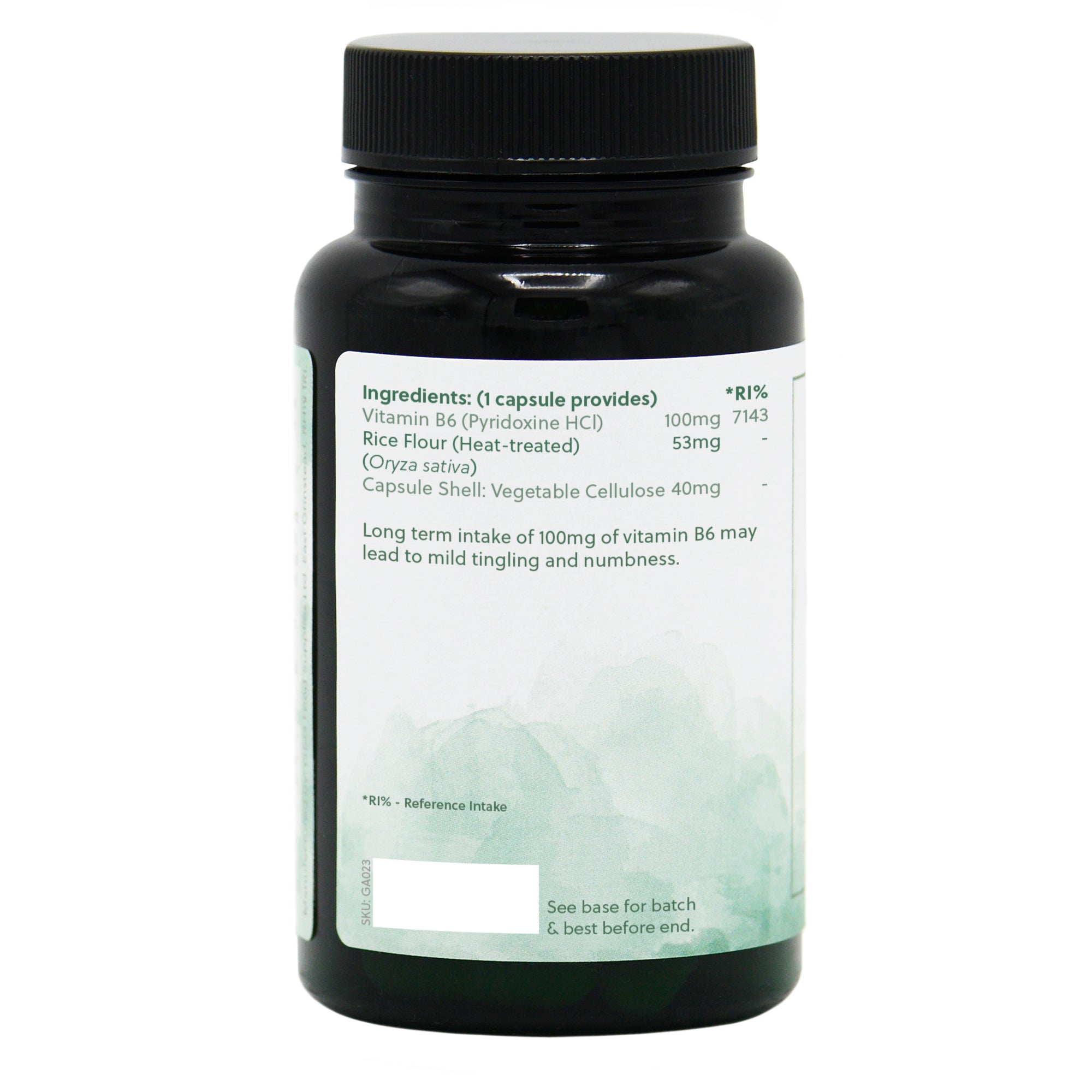 Ingredients label for Vitamin B6 Pyridoxine HCl 100mg 120 Capsules
