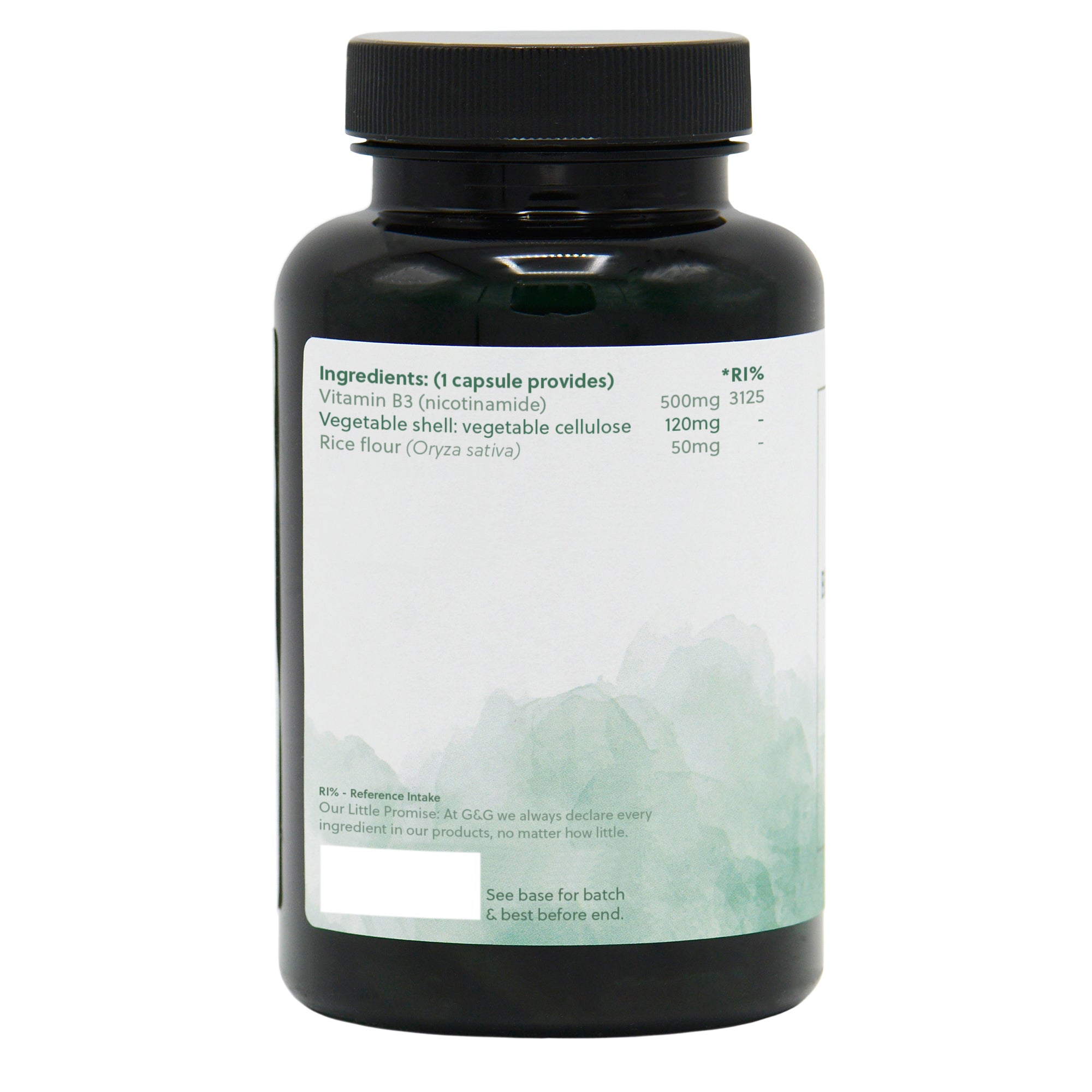 Ingredients label for Vitamin B3 Nicotinamide 500mg 120 Capsules