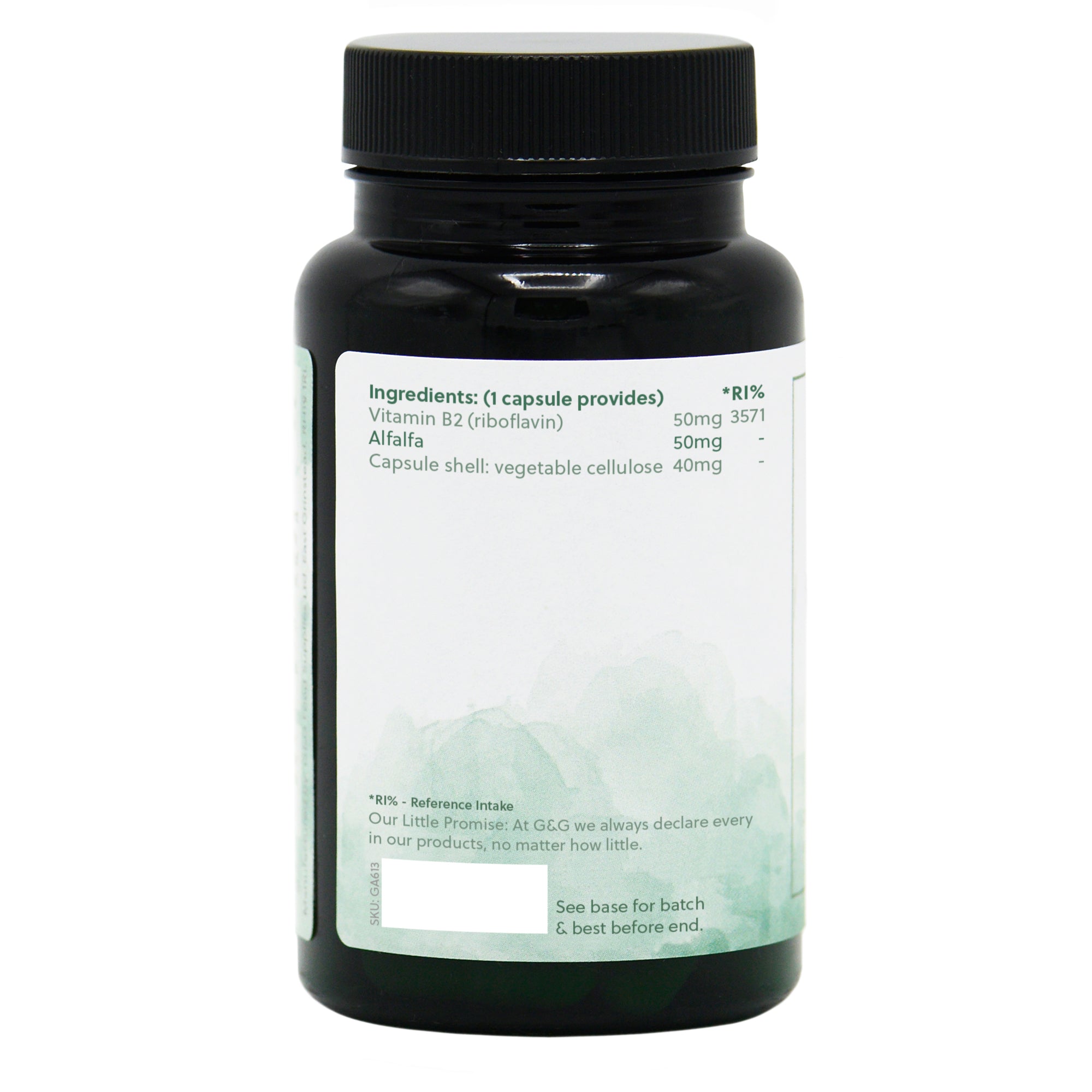 Ingredients label for Vitamin B2 Riboflavin 50mg 120 Capsules