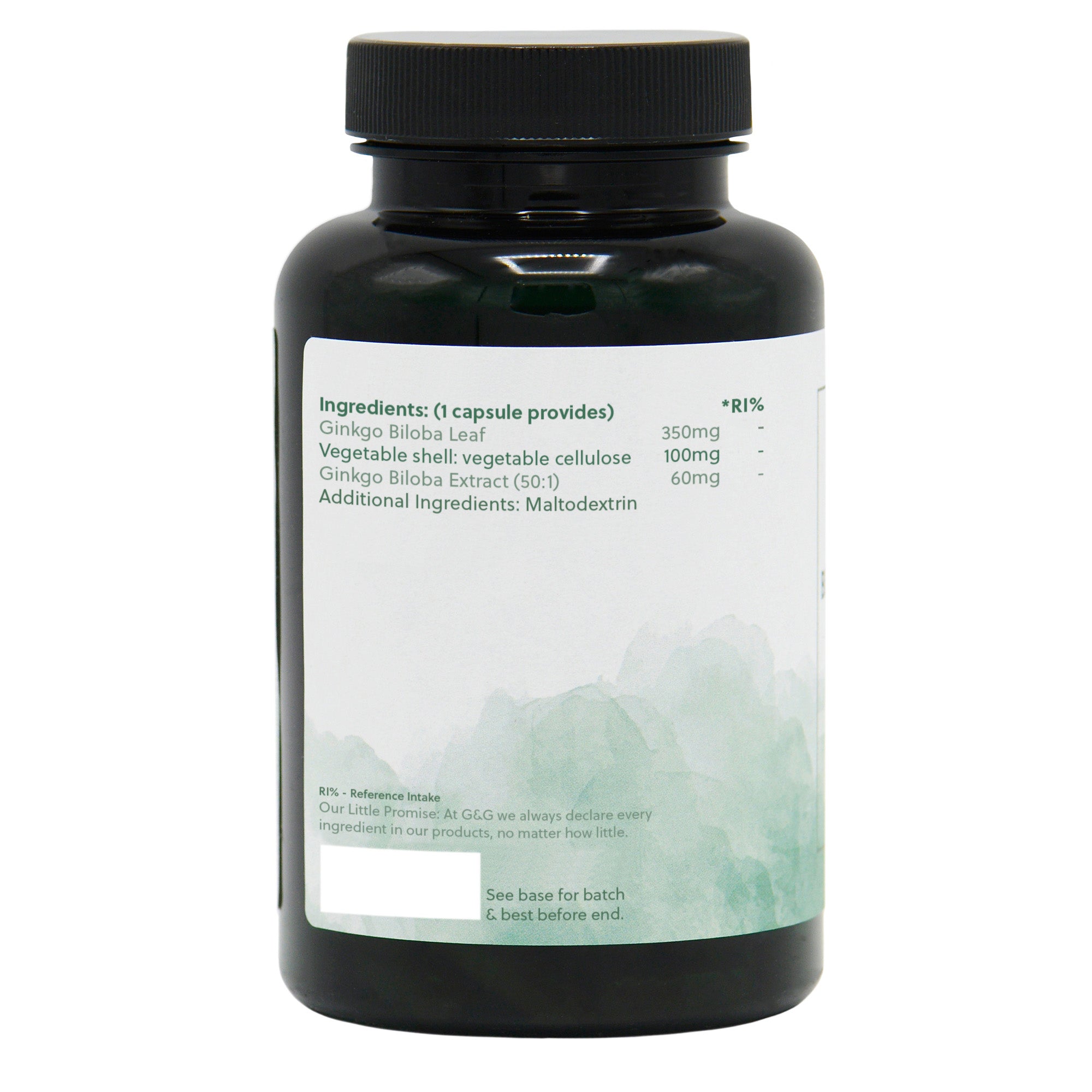 Ingredients label for Ginkgo Biloba 410mg 120 Capsules