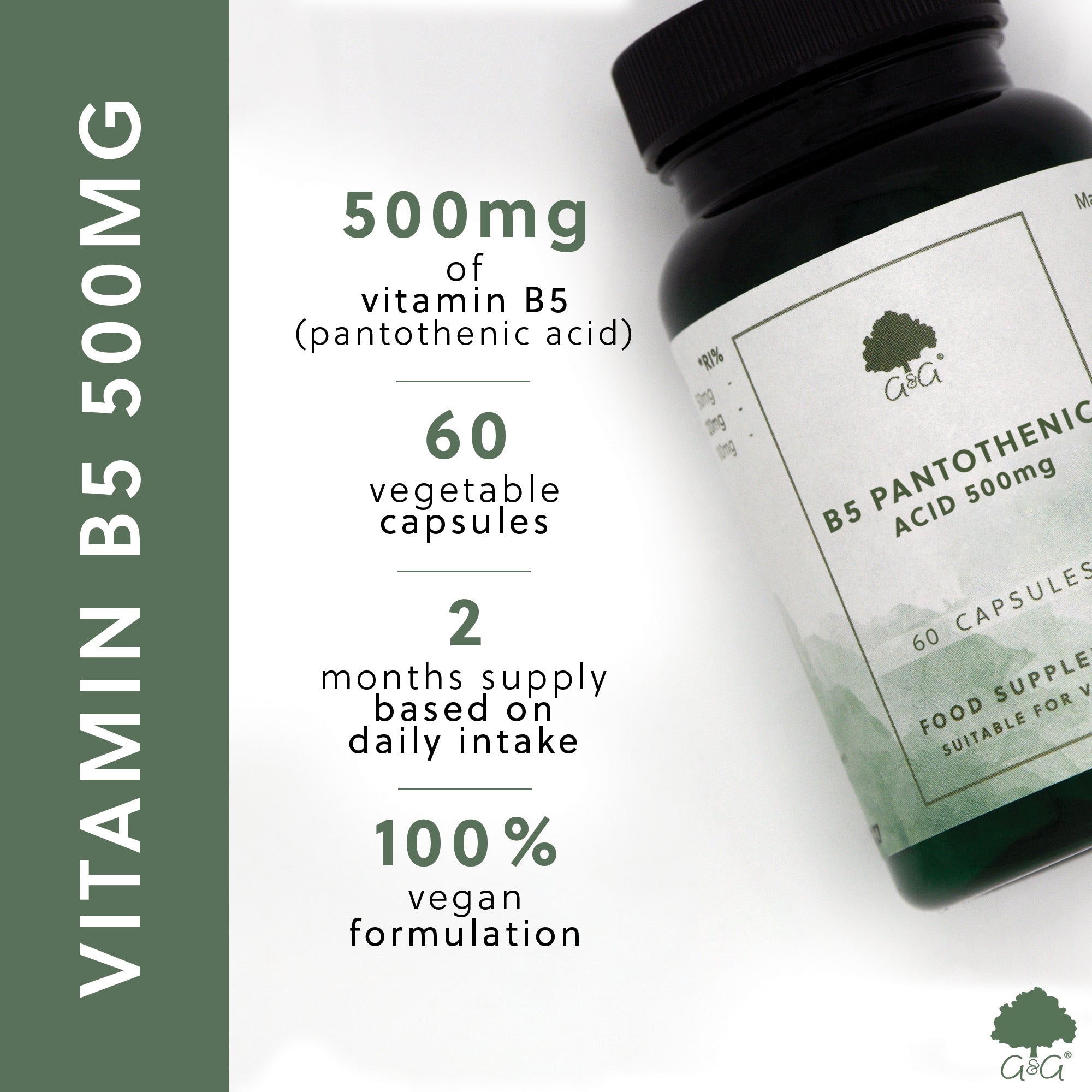 USPs for Vitamin B5 Pantothenic Acid 500mg 60 Capsules