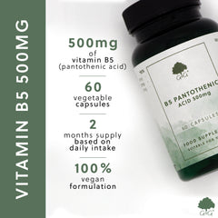 USPs for Vitamin B5 Pantothenic Acid 500mg 60 Capsules