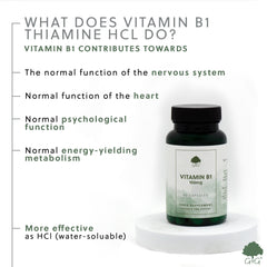 Vitamin B1 Thiamine HCl 100mg 90 Capsules