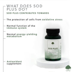 SOD Plus (Superoxide Dismutase) 60 Capsules