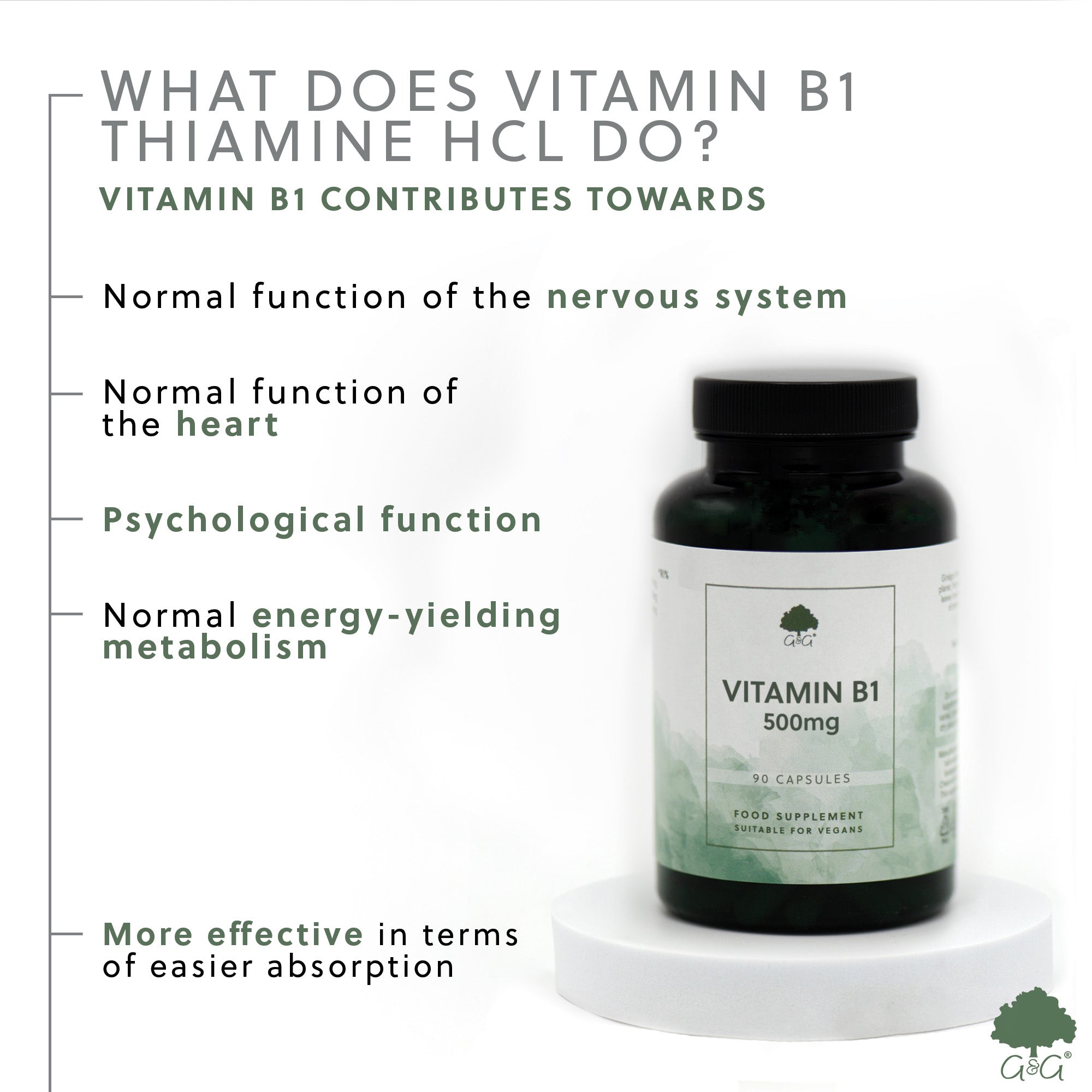 Vitamin B1 Thiamine HCl 500mg 90 Capsules