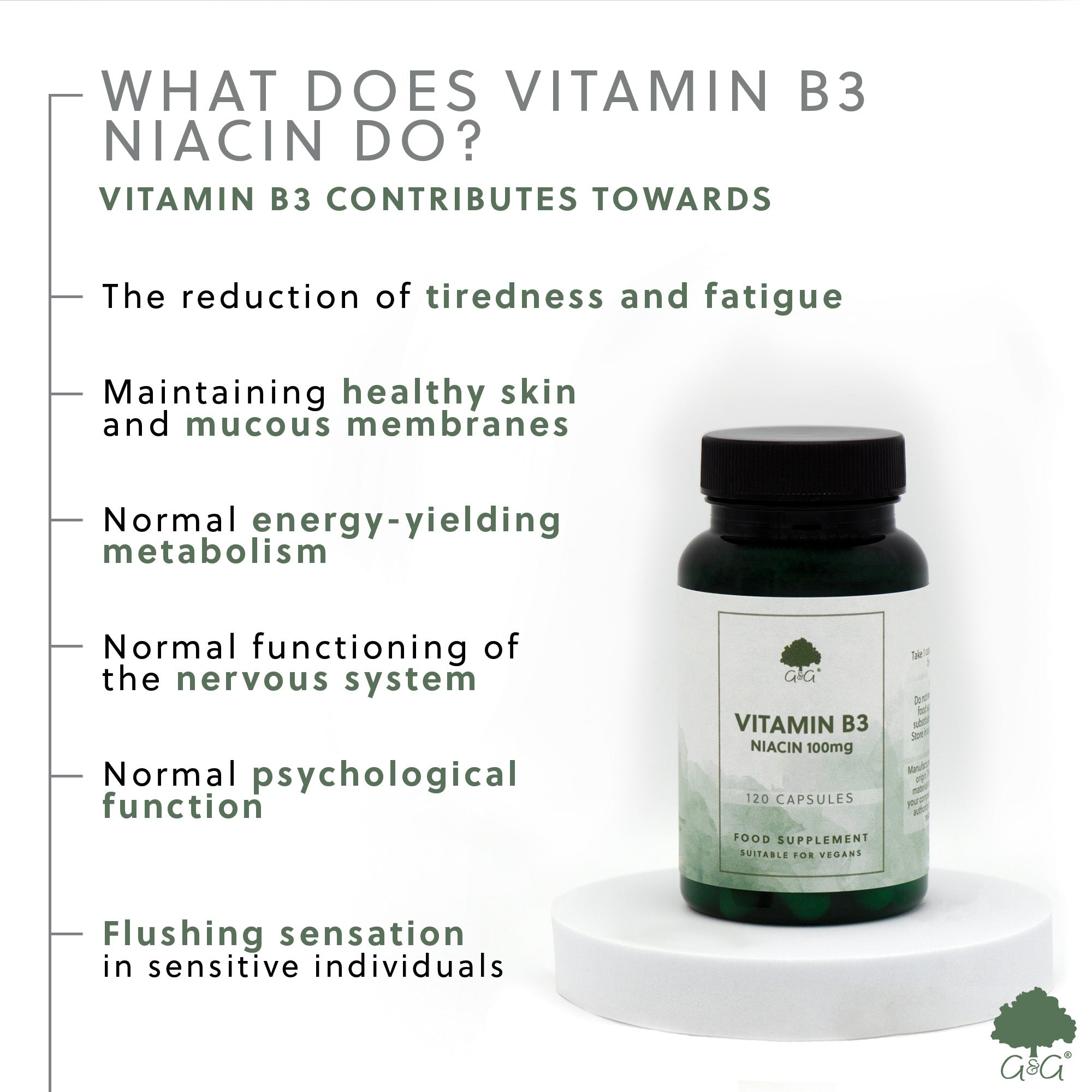 Vitamin B3 Niacin 100mg 120 Capsules