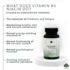 Vitamin B3 Niacin 100mg 120 Capsules