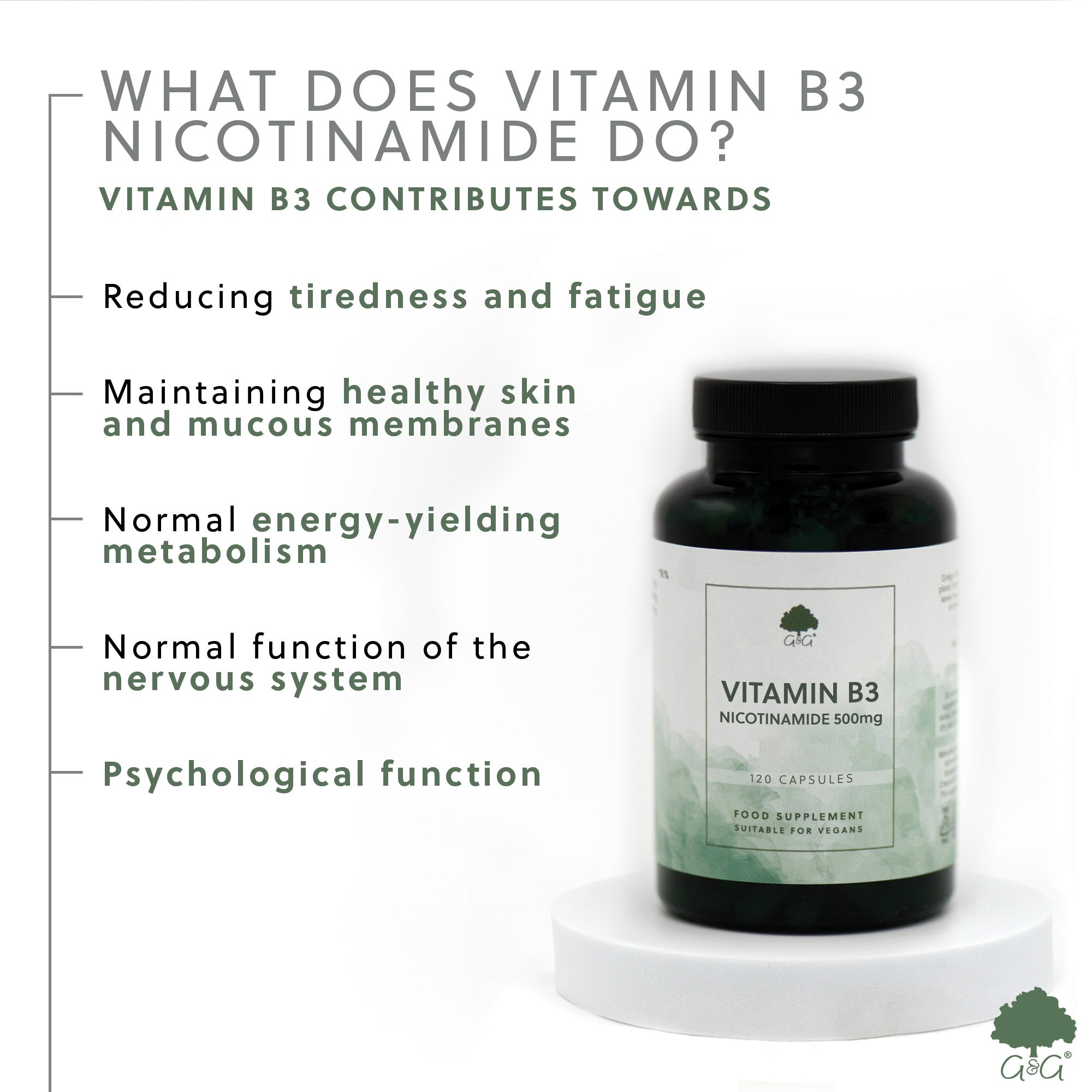 Vitamin B3 Nicotinamide 500mg 120 Capsules