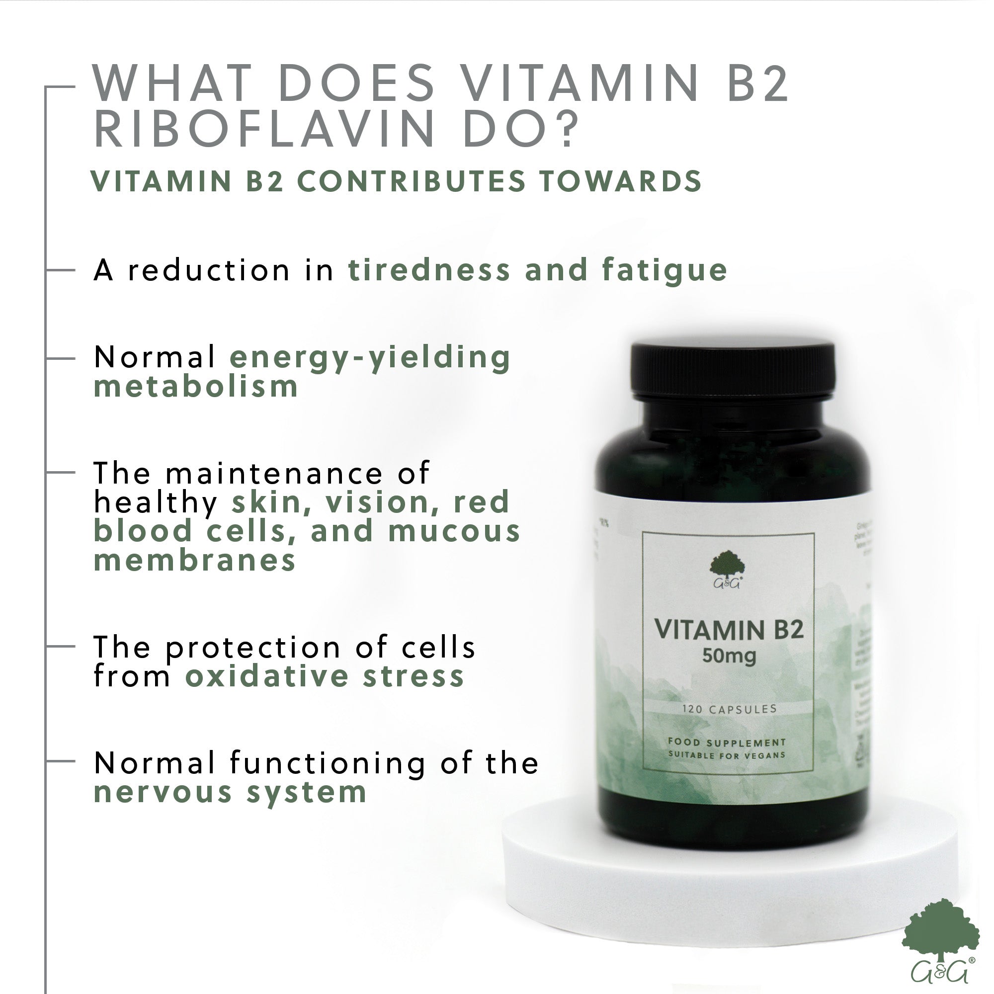 Vitamin B2 Riboflavin 50mg 120 Capsules