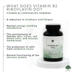 Vitamin B2 Riboflavin 50mg 120 Capsules