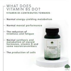 Vitamin B5 Pantothenic Acid 500mg 60 Capsules