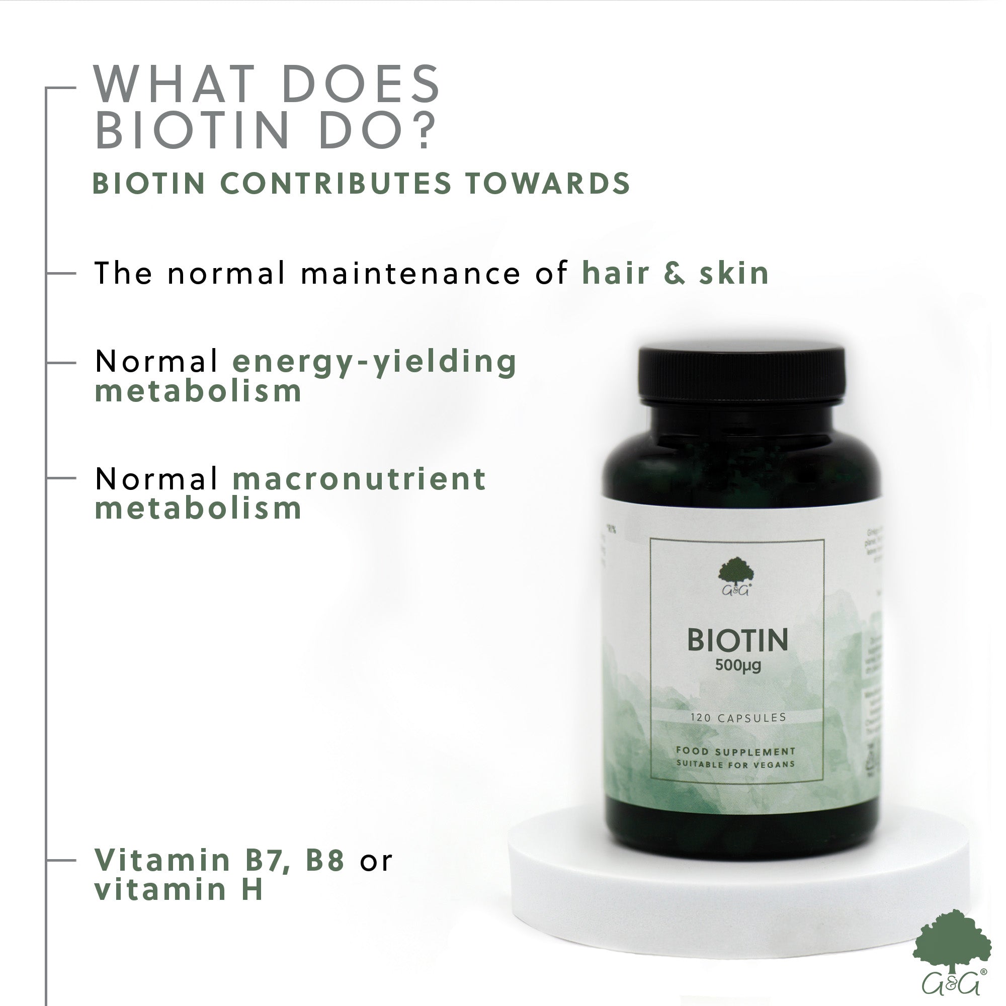Biotin 500µg 120 Capsules