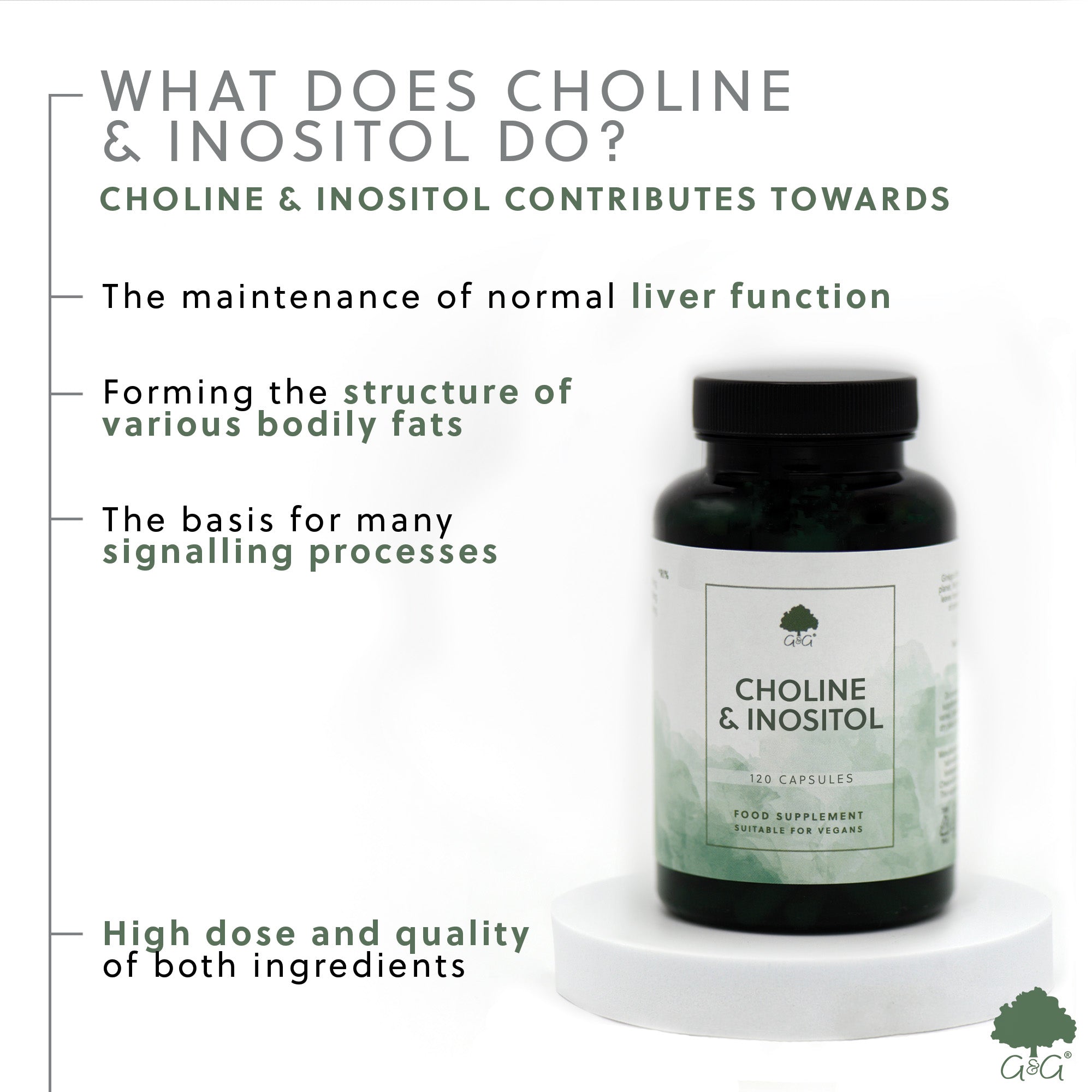 Choline 250mg & Inositol 250mg 120 Capsules