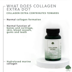 Collagen Extra (with Glucosamine, Chondroitin & MSM) 60 Capsules