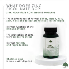 Zinc Picolinate 22mg 120 Capsules