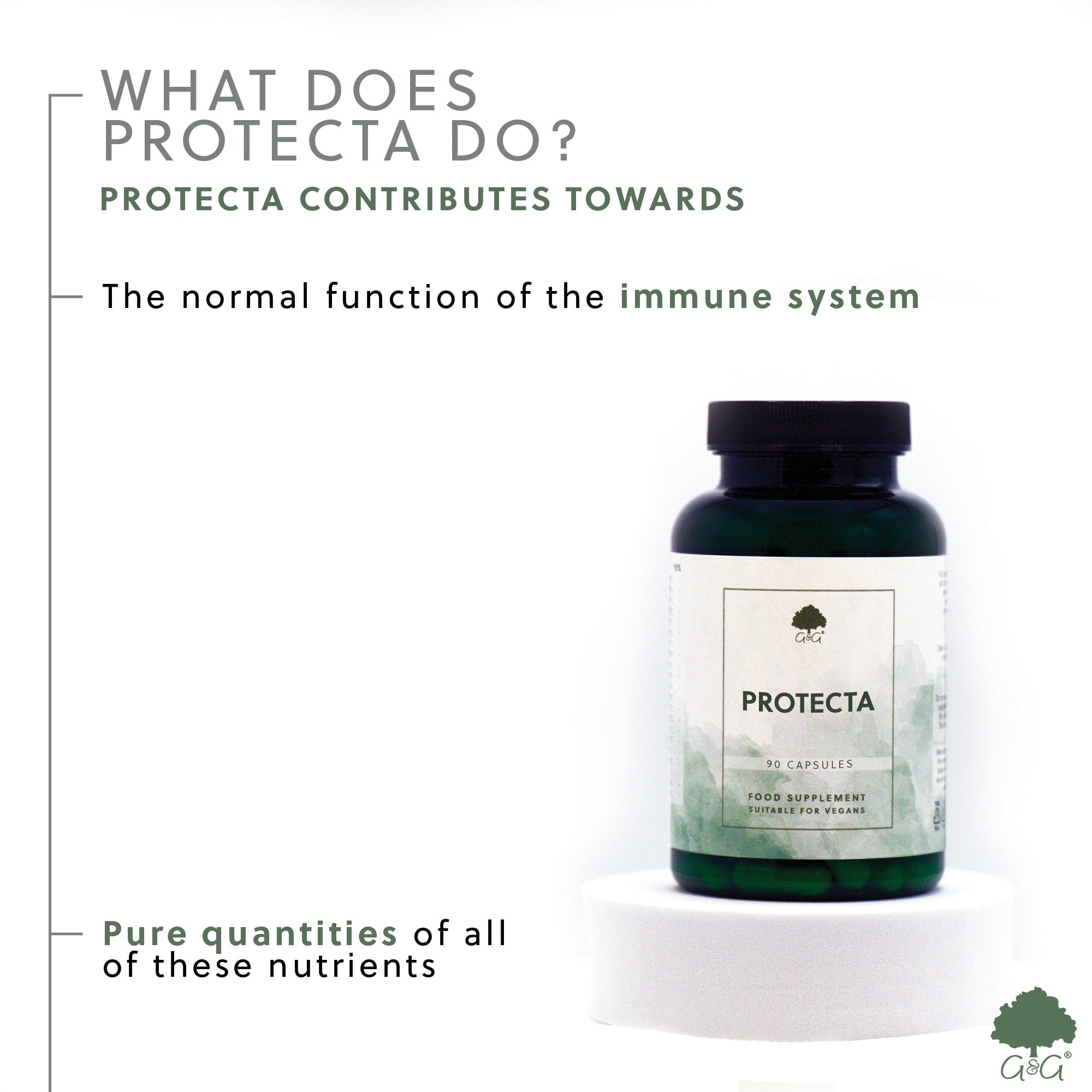 Protecta (Immune Formula) 90 Capsules