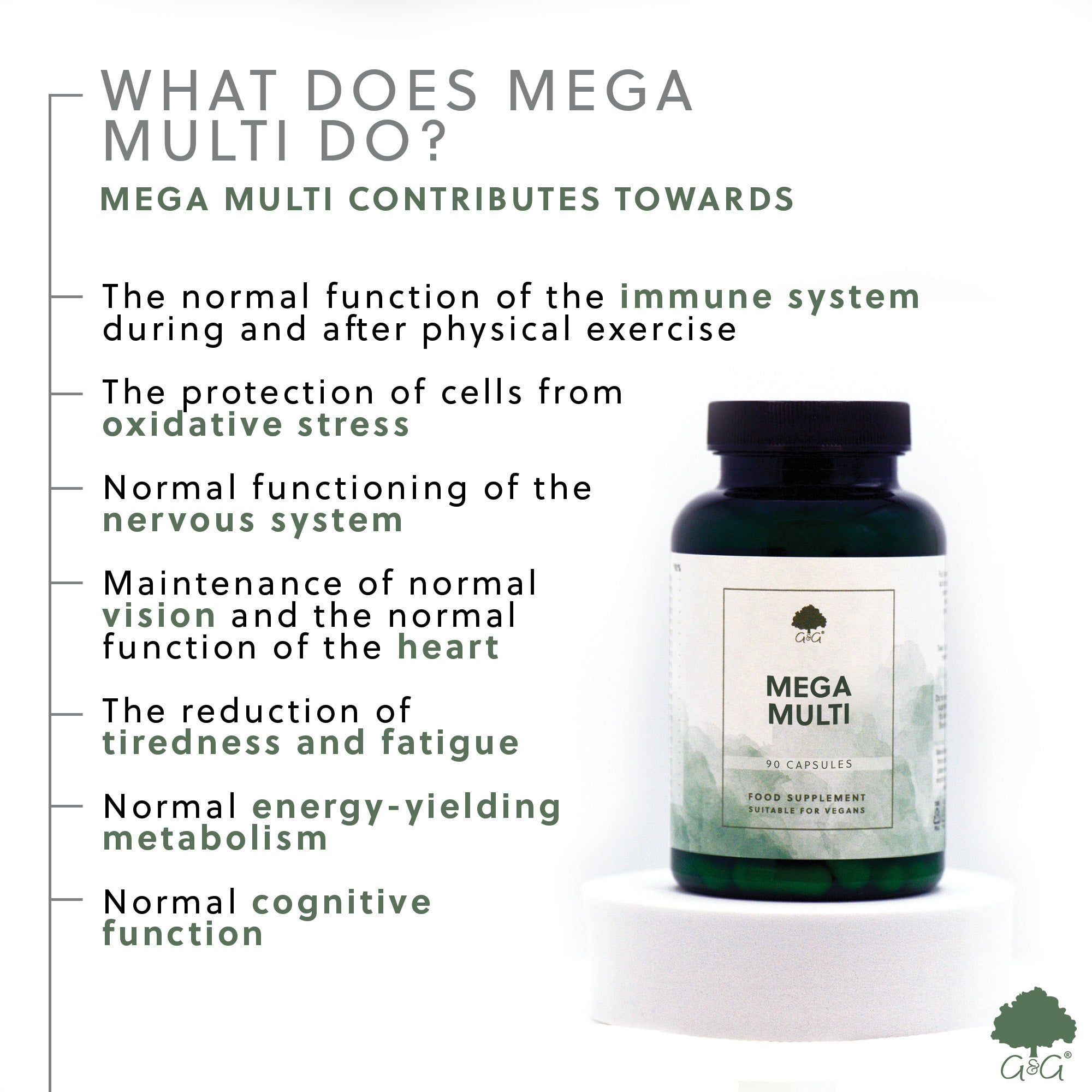 Mega Multi 90 Capsules