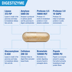 Digestizyme, 100 Capsules
