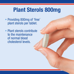 Plant Sterols 800mg, 60 Tablets
