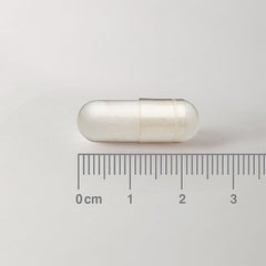 Acetyl L Carnitine  500mg, 60 Capsules