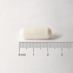 L-Carnitine 500mg, 60 Capsules