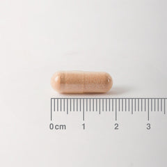 Pycnogenol 40mg, 60 Capsules