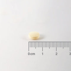 Folic Acid 400ug, 100 Tablets